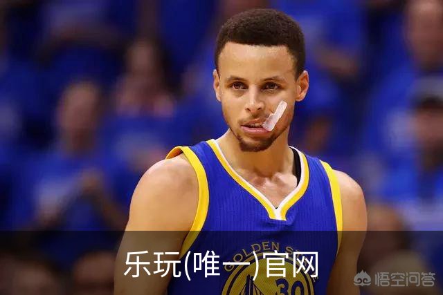 乐玩(唯一)官网公司介绍